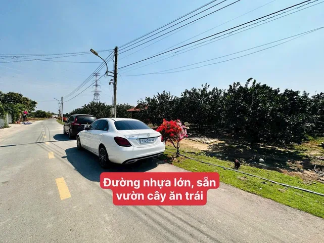 Bất động sản tại Bình Dương - ảnh 1