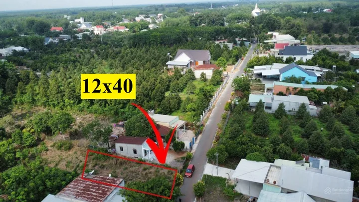 Bất động sản tại Bình Dương - ảnh 1