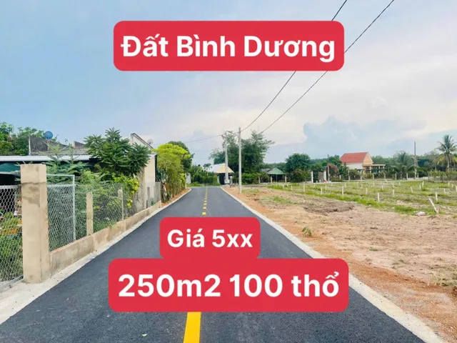 Bất động sản tại Bình Dương - ảnh 1