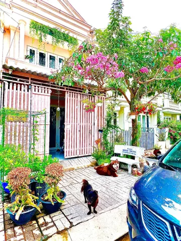 Bất động sản tại Tây Ninh - ảnh 1
