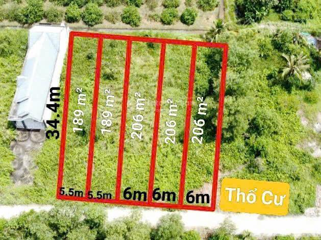 Bất động sản tại Long An - ảnh 1