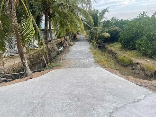 Bất động sản tại Long An - ảnh 1