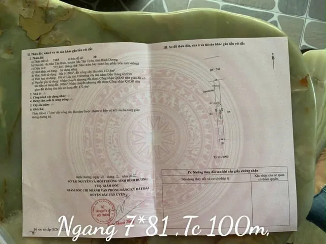 Bất động sản tại Bình Dương - ảnh 1