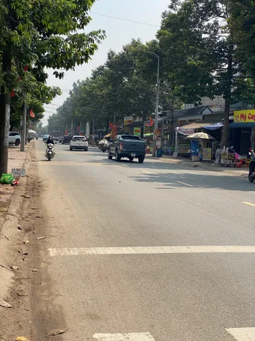 Bất động sản tại Đồng Nai - ảnh 1