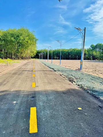 Bất động sản tại Đồng Nai - ảnh 1