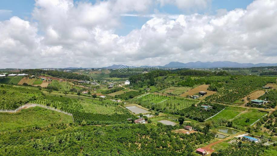 Bất động sản tại Lâm Đồng - ảnh 1