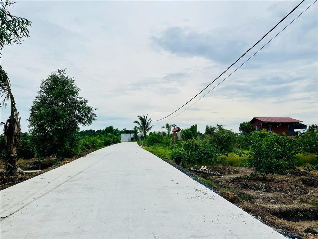 Bất động sản tại Long An - ảnh 1