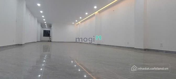 Bất động sản tại TP. Hồ Chí Minh - ảnh 1