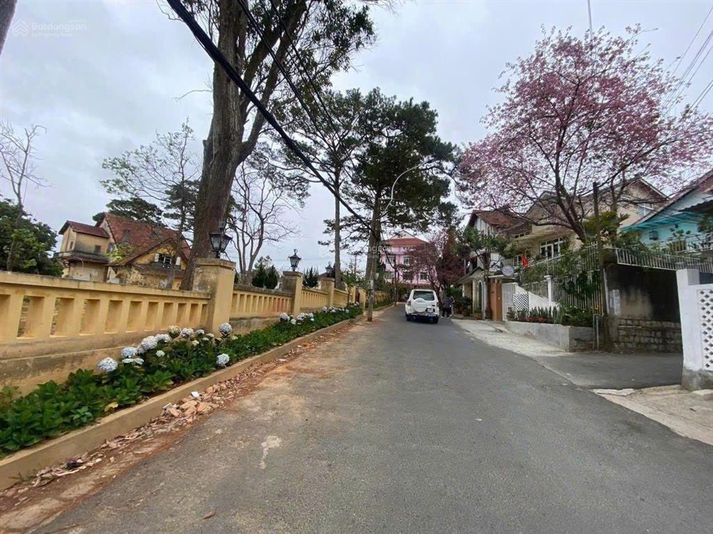 Bất động sản tại Lâm Đồng - ảnh 1