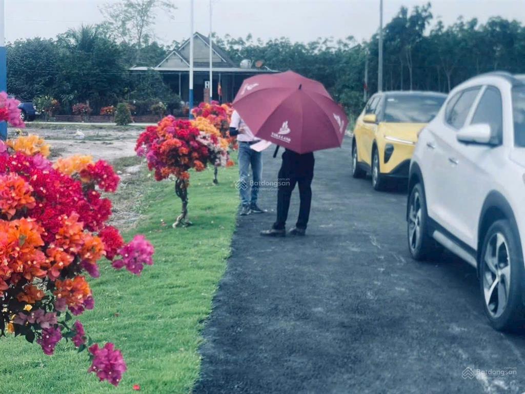 Bất động sản tại Bình Phước - ảnh 1