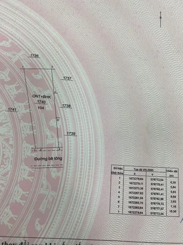 Bất động sản tại Quảng Ngãi - ảnh 1