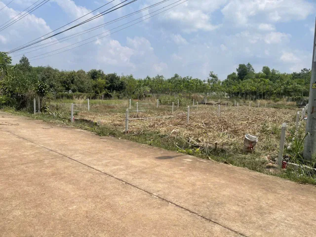 Bất động sản tại Bình Dương - ảnh 1