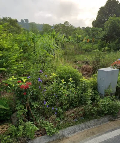 Bất động sản tại Lào Cai - ảnh 1