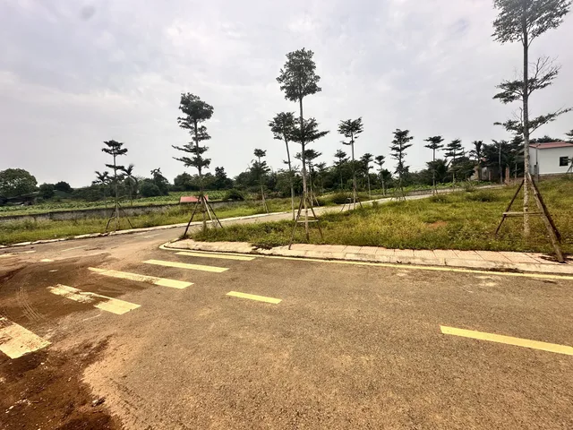 Bất động sản tại Hà Nội - ảnh 1