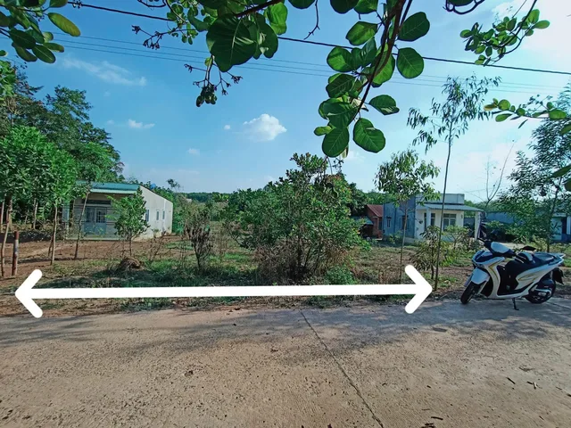 Bất động sản tại Đồng Nai - ảnh 1