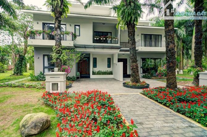 Bất động sản tại TP. Hồ Chí Minh - ảnh 1