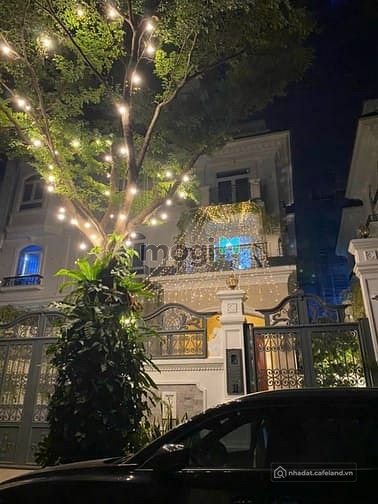 Bất động sản tại TP. Hồ Chí Minh - ảnh 1