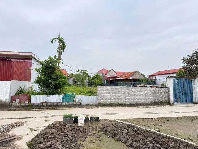 Bất động sản tại Hải Phòng - ảnh 1