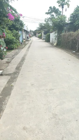 Bất động sản tại Đồng Nai - ảnh 1