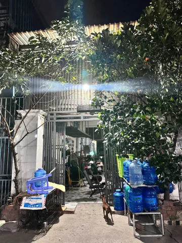 Bất động sản tại Bình Dương - ảnh 1