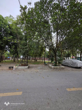 Bất động sản tại Bắc Ninh - ảnh 1