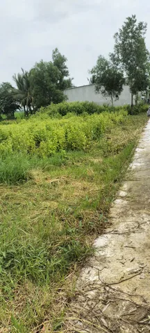 Bất động sản tại Cà Mau - ảnh 1