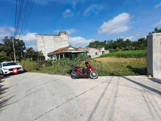 Bất động sản tại Long An - ảnh 1