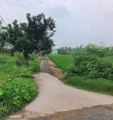 Bất động sản tại Tây Ninh - ảnh 1