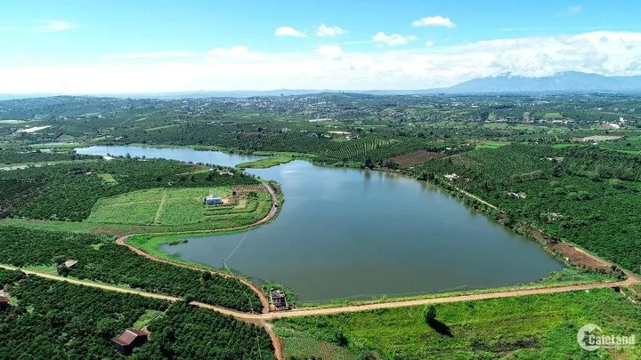 Bất động sản tại Lâm Đồng - ảnh 1