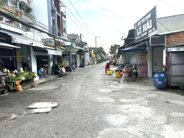 Bất động sản tại Bình Dương - ảnh 1