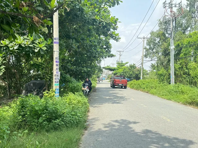 Bất động sản tại TP. Hồ Chí Minh - ảnh 1