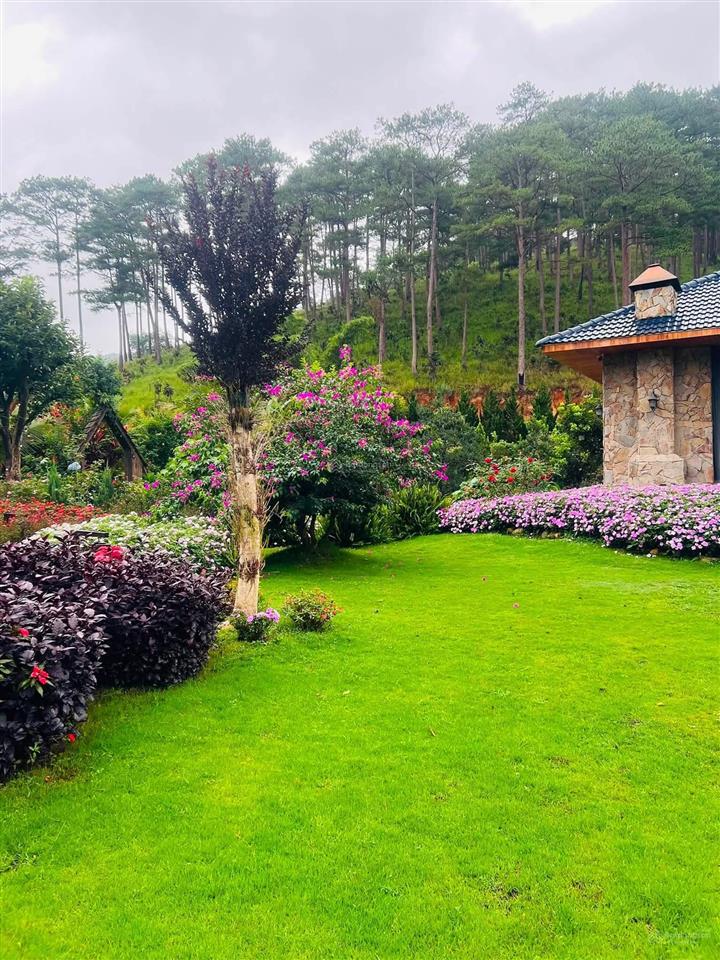 Bất động sản tại Lâm Đồng - ảnh 1