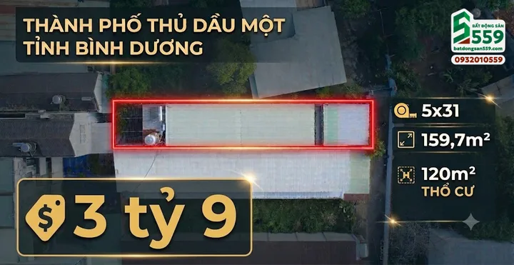 Bất động sản tại Bình Dương - ảnh 1