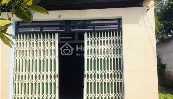 Bất động sản tại Long An - ảnh 1