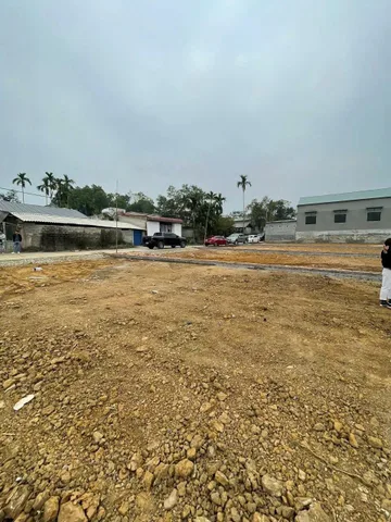 Bất động sản tại Phú Thọ - ảnh 1
