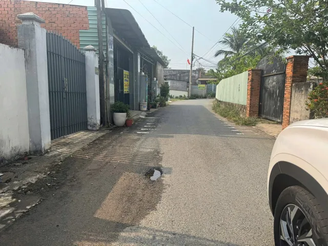 Bất động sản tại Bình Dương - ảnh 1