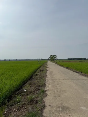 Bất động sản tại Đồng Nai - ảnh 1