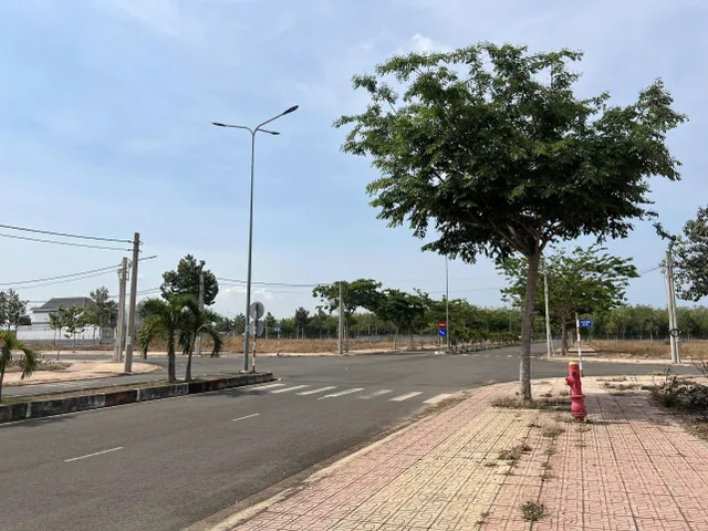 Bất động sản tại Đồng Nai - ảnh 1