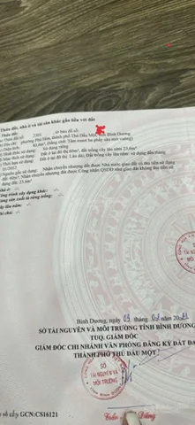Bất động sản tại Bình Dương - ảnh 1