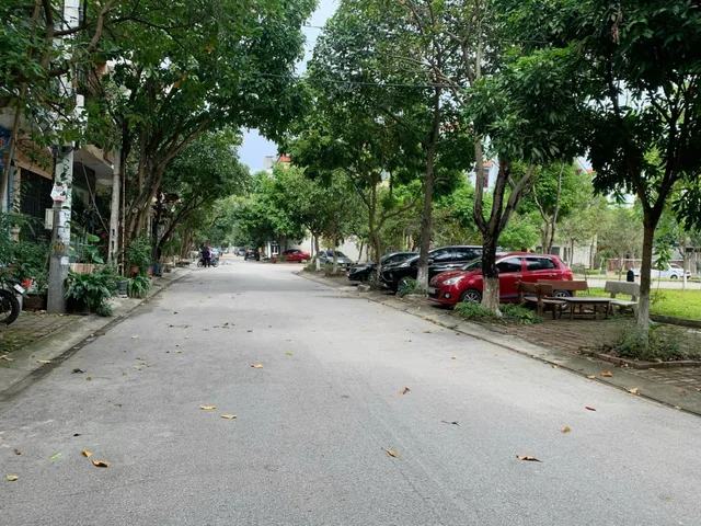 Bất động sản tại Bắc Ninh - ảnh 1