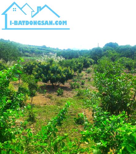 Bất động sản tại Bắc Giang - ảnh 1