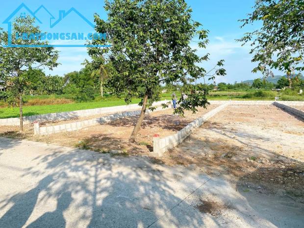 Bất động sản tại Thừa Thiên Huế - ảnh 1