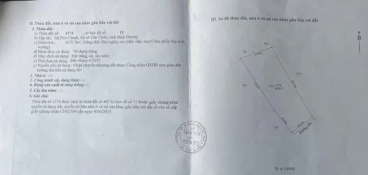 Bất động sản tại Bình Dương - ảnh 1