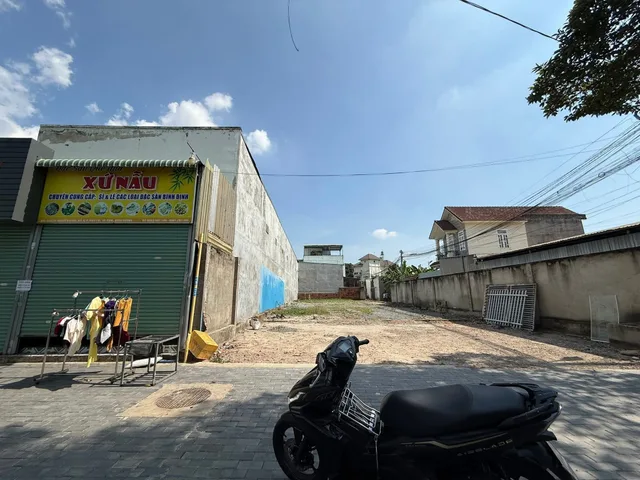 Bất động sản tại Bình Dương - ảnh 1
