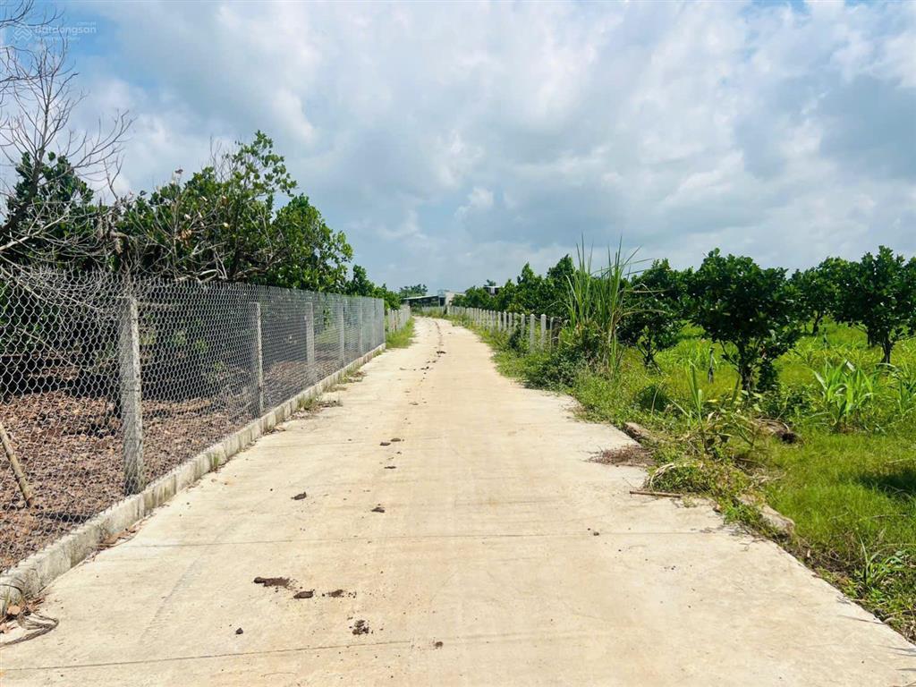 Bất động sản tại Bà Rịa - Vũng Tàu - ảnh 1
