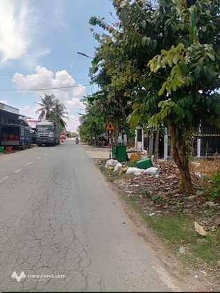 Bất động sản tại Tiền Giang - ảnh 1