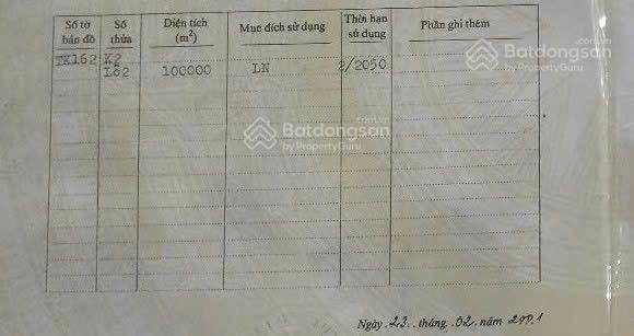 Bất động sản tại Bình Định - ảnh 1
