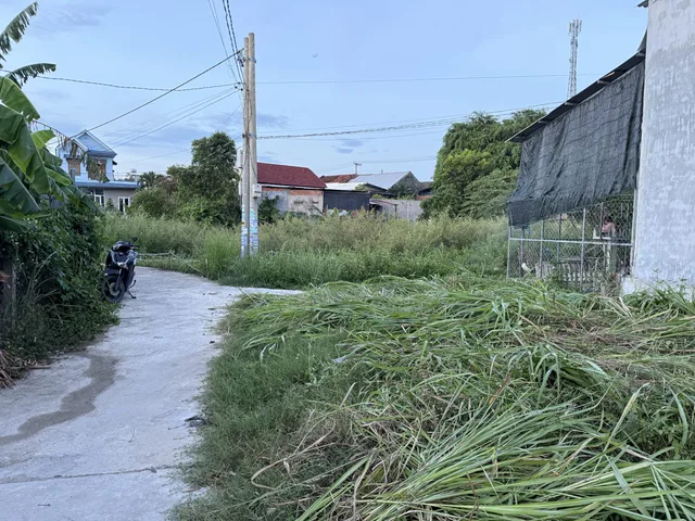 Bất động sản tại Khánh Hòa - ảnh 1