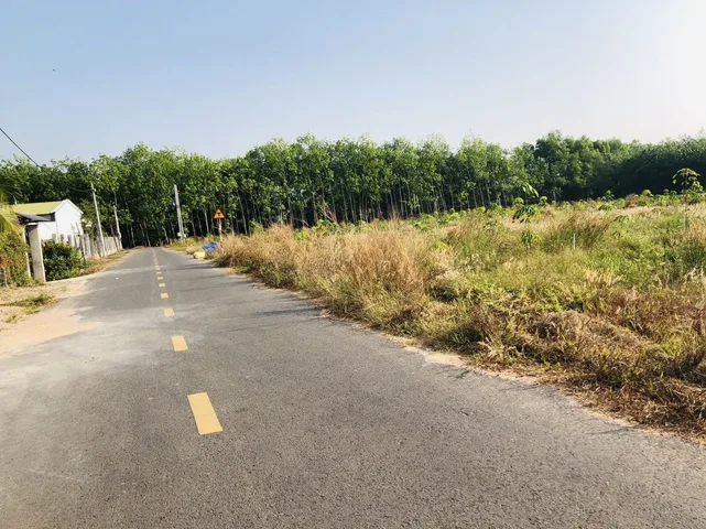 Bất động sản tại Bình Phước - ảnh 1