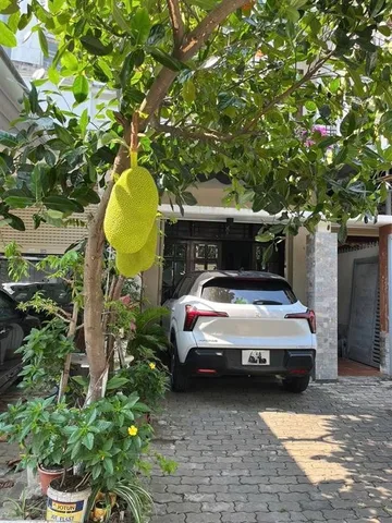 Bất động sản tại Đà Nẵng - ảnh 1